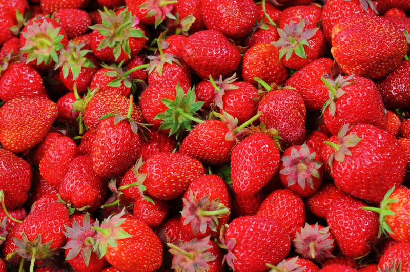 primeur-VALBONNE-min_strawberries-528791